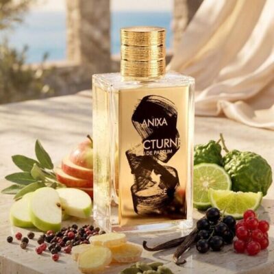 Nocturne Anixa בהשראת Nishane Hacivat X 100ML