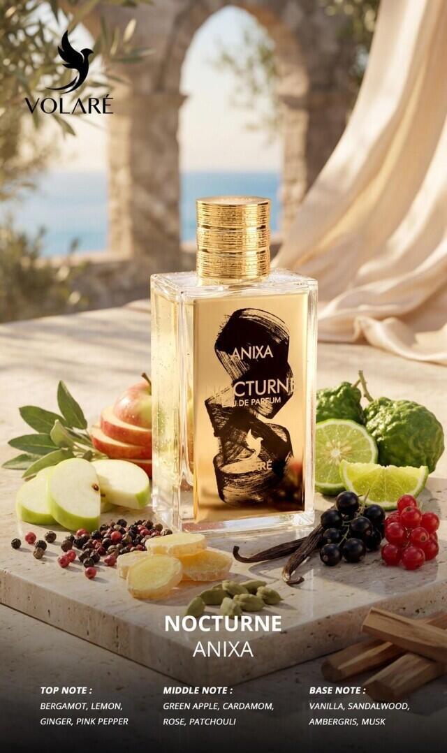 Nocturne Anixa בהשראת Nishane Hacivat X 100ML