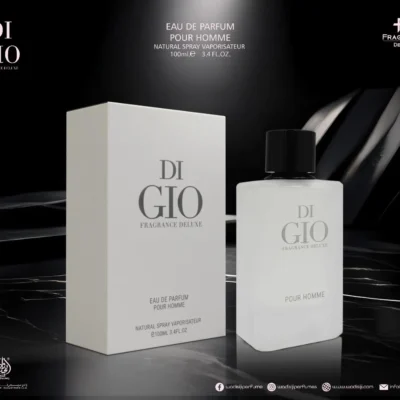 DI GIO בהשראת Giorgio Armani Acqua Di 100ML